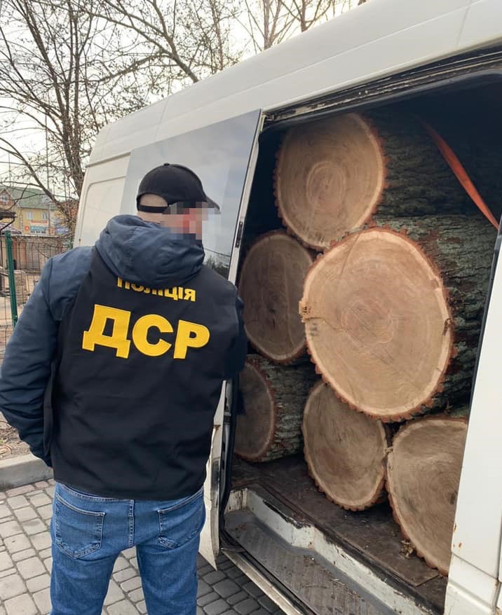 В Ровенской области группа лесорубов нанесла ущерб на 1 млн гривен